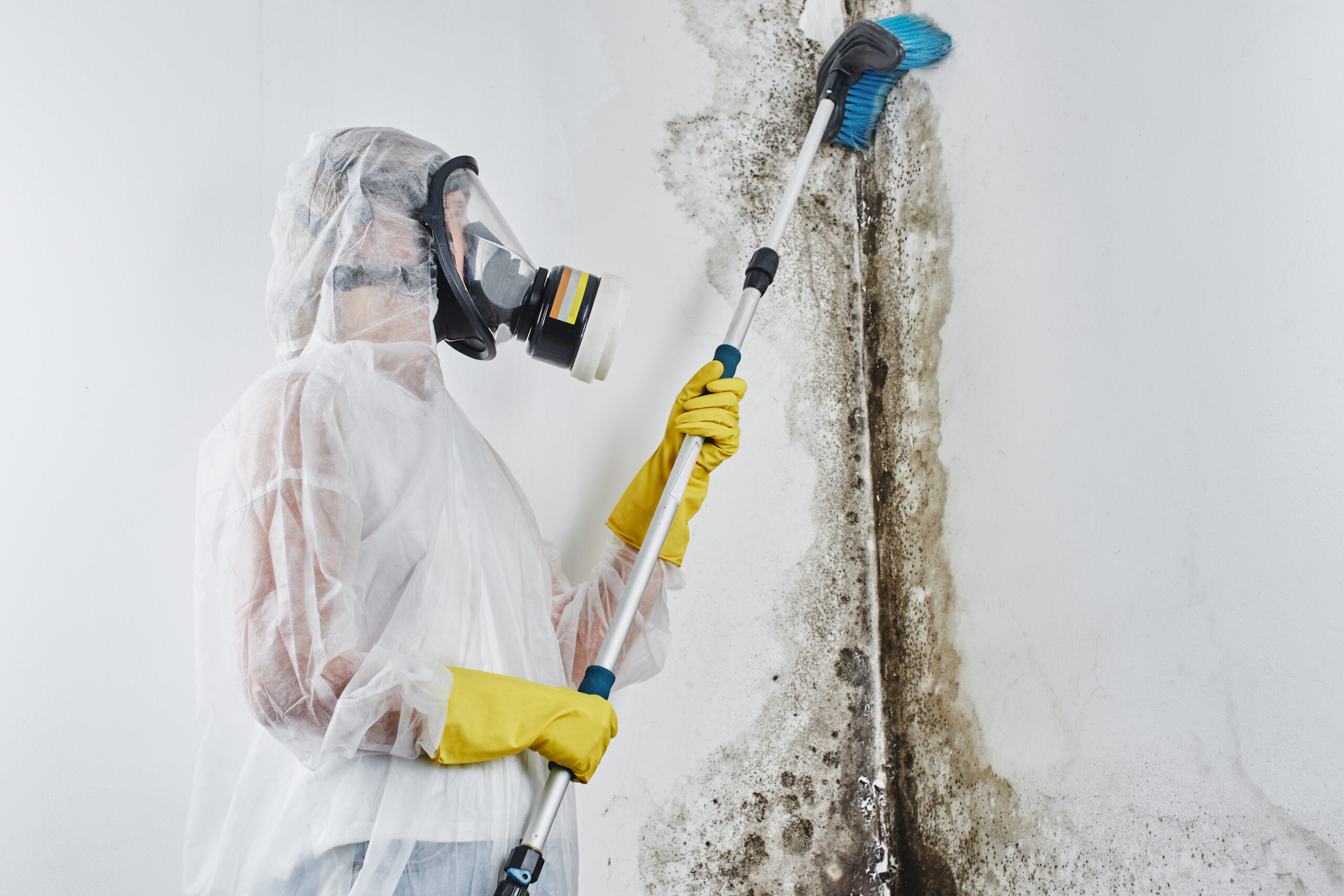 man in hazmat suit black mold toxic